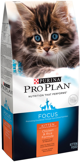 Pro Plan Focus - Kitten