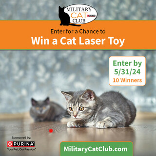 Enter for a Chance to Win a Cat Laser Toy