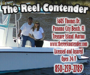 THE REEL CONTENDER
