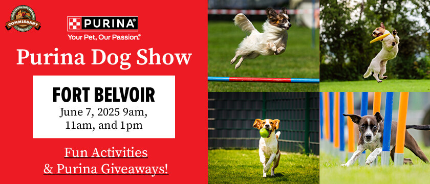 Purina Dog Show