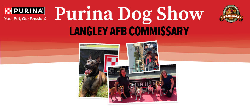 Purina Dog Show