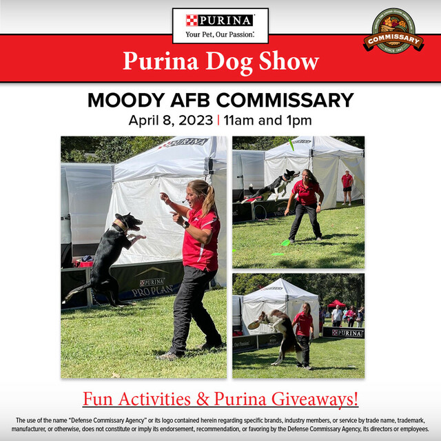 Purina Dog Show Event for Moody AFB Bases Commissary Exchange My