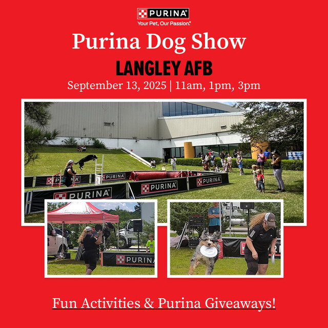 Purina Dog Show