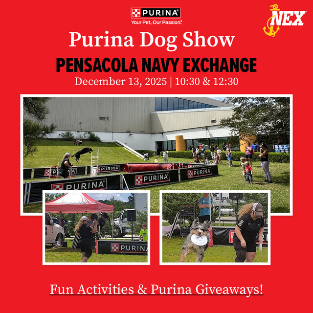 Purina Dog Show