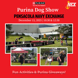 Purina Dog Show