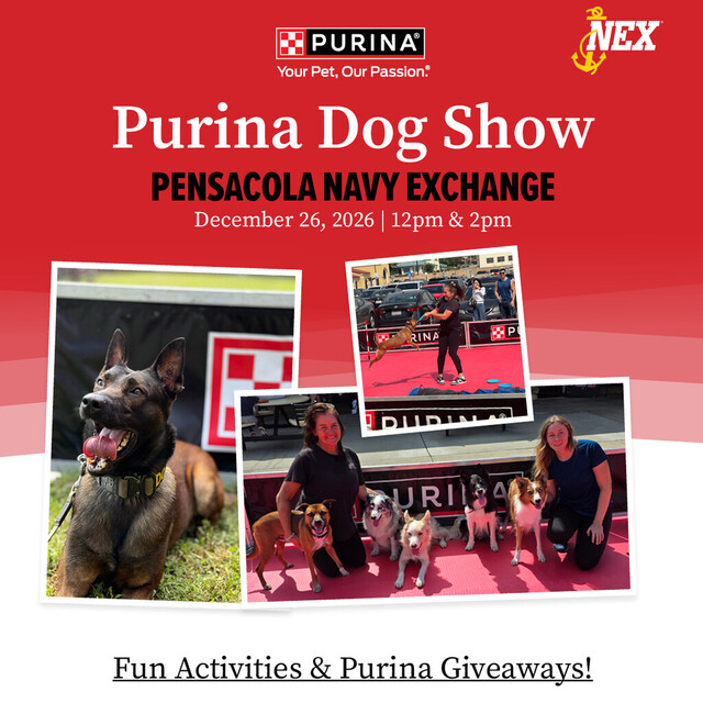 Purina Dog Show