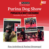 Purina Dog Show