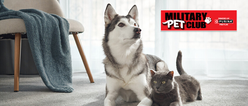 Pet Club Sweepstakes