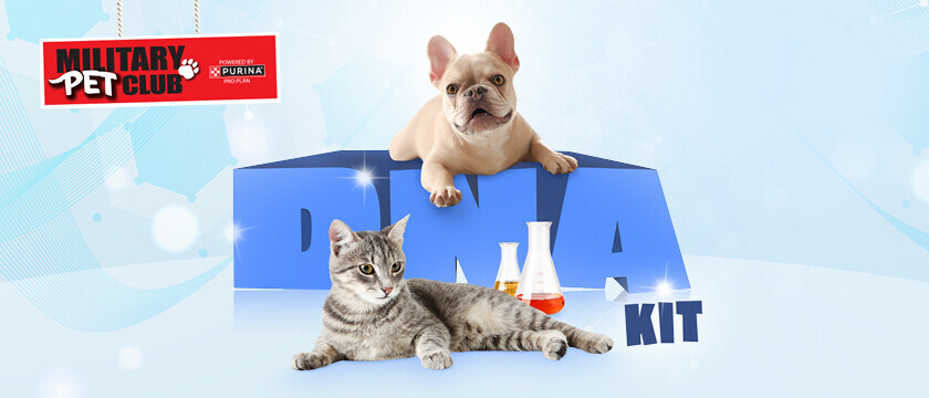 Pet Club Sweepstakes