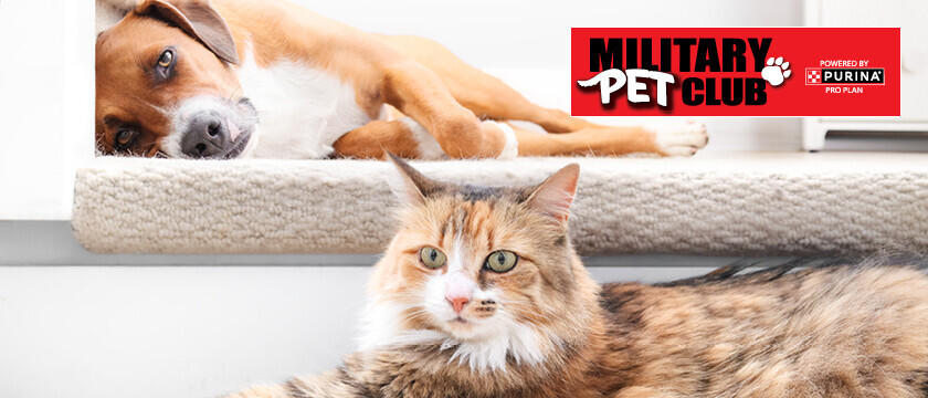 Pet Club Sweepstakes
