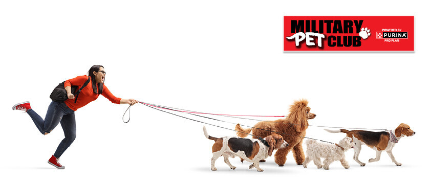 Pet Club Sweepstakes