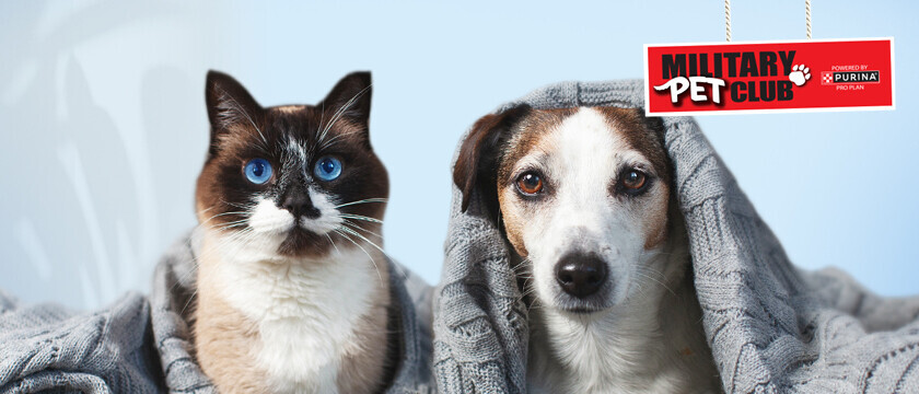 Pet Club Sweepstakes