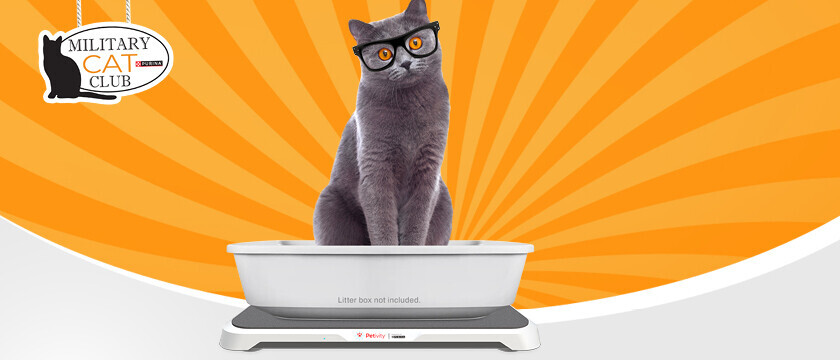 Cat Club Sweepstakes
