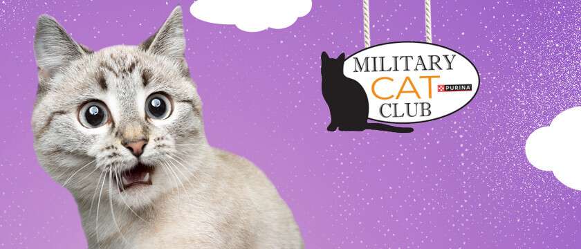 Cat Club Sweepstakes