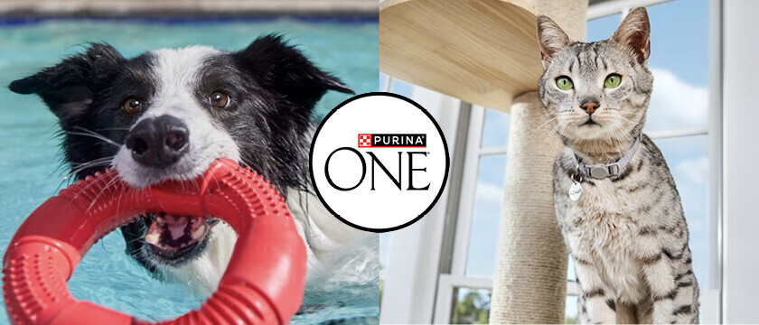 Purina ONE®