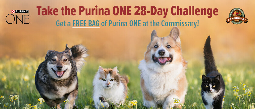 Purina ONE® 28 Day Challenge