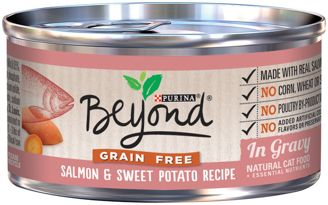 Beyond Grain Free Salmon & Sweet Potato 