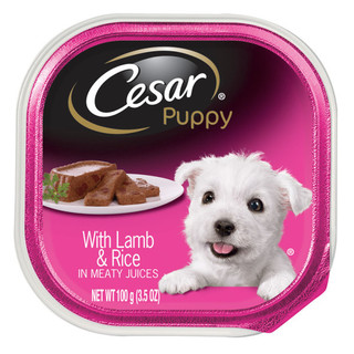 Cesar® Canine Cuisine Puppy With Lamb and Rice