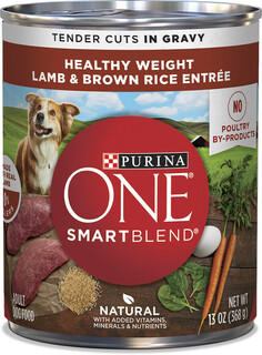 Purina ONE® SmartBlend Tender Cuts in Gravy Lamb & Brown Rice
