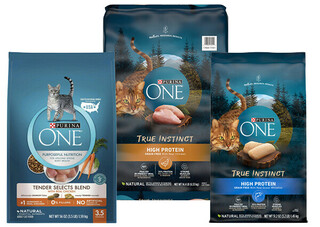 Purina ONE® Dry Cat Food