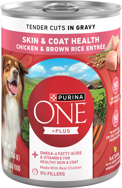 Purina ONE® Skin & Coat Health Wet Dog Food