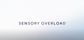 Sensory Overload Preview