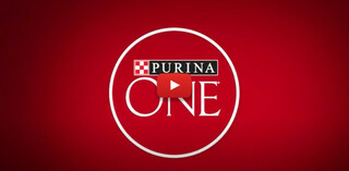 Purina ONE® – 28 Days. ONE Visibly Healthy Pet.