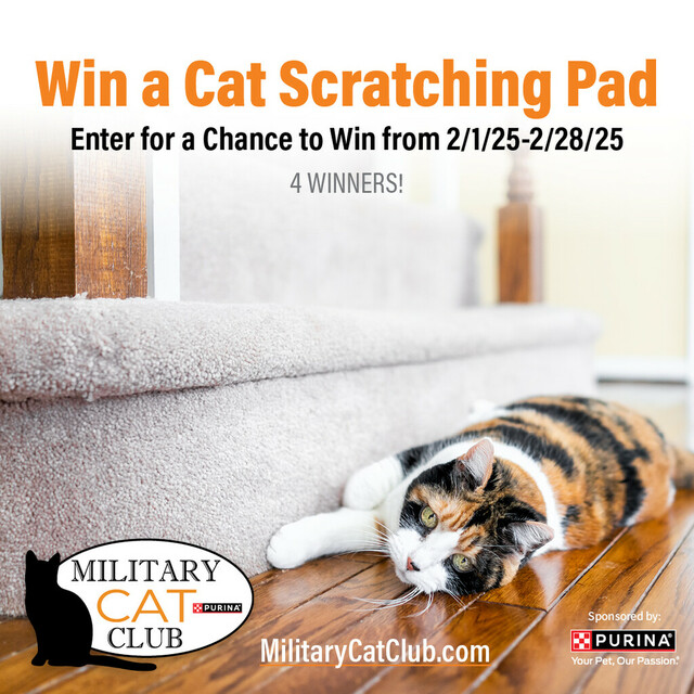 Enter for a Chance to Win a Cat Scratching Pad