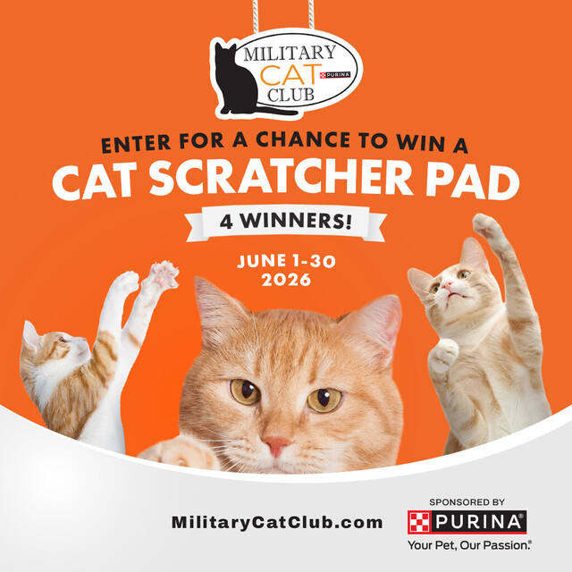 Enter for a Chance to Win a Cat Scratcher Pad