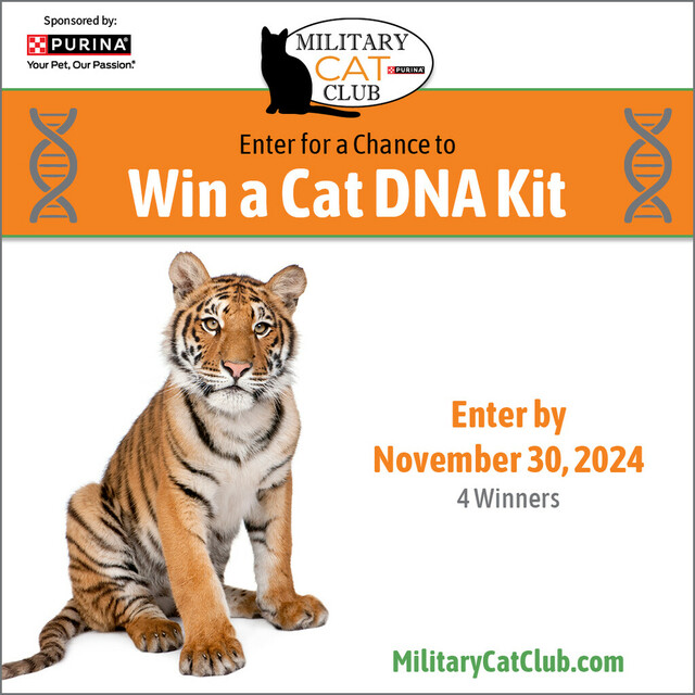 Enter for a Chance to Win a Cat DNA Kit