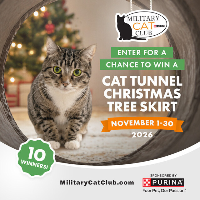 Enter for a Chance to Win a Cat Tunnel Christmas Tree Skirt
