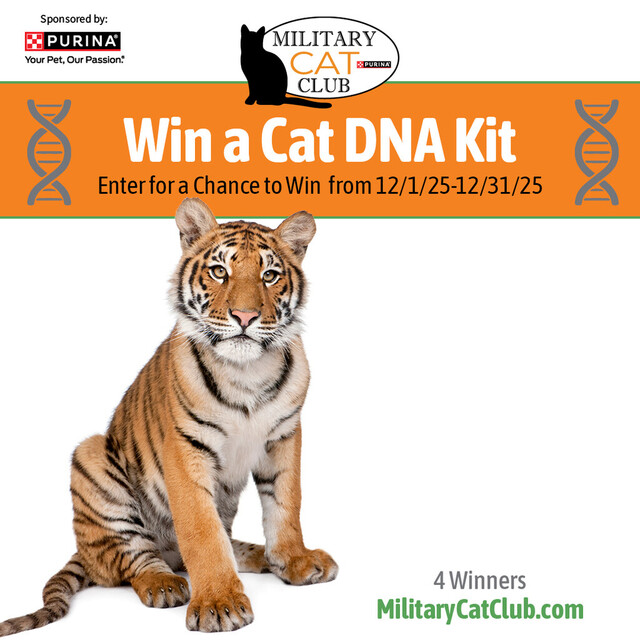 Enter for a Chance to Win a Cat DNA Kit