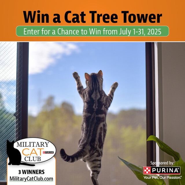 Enter for a Chance to Win a Cat Tree Tower