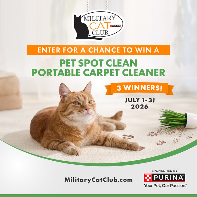 Enter for a Chance to Win a Pet Spot Clean Portable Carpet Cleaner