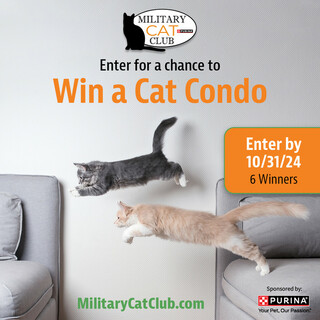 Enter for a Chance to Win a Cat Condo