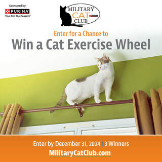 Enter for a Chance to Win a Cat Exercise Wheel