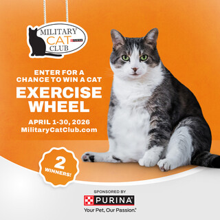 Enter for a Chance to Win a Cat Exercise Wheel