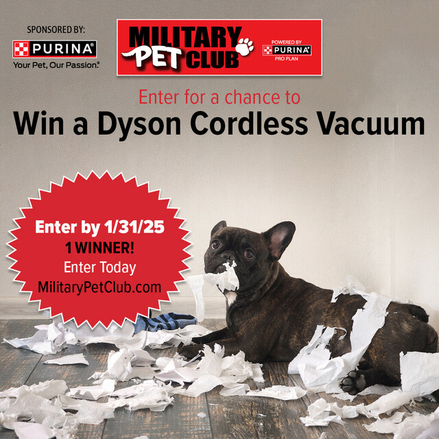 Enter for a Chance to Win a Dyson Cordless Vacuum