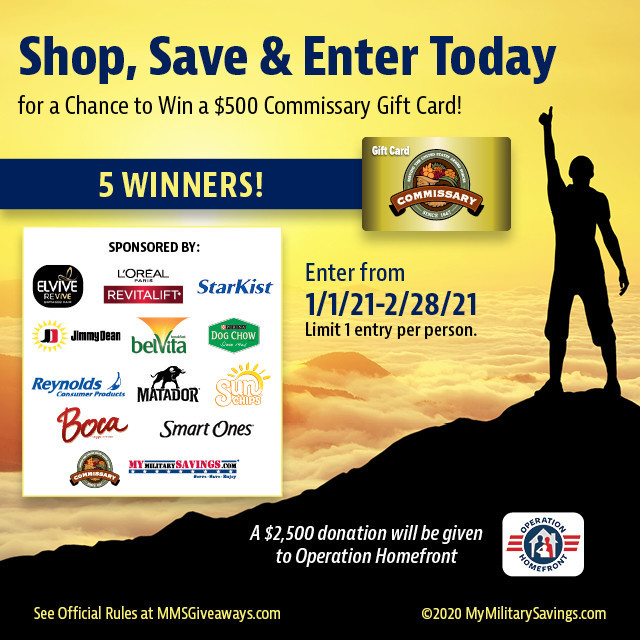 mcghee tyson air national guard base commissary