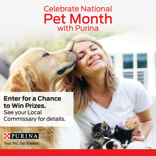 Celebrate National Pet Month with Purina