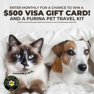 Enter the PCS with Pets $500 Visa Gift Card Giveaway