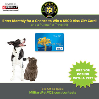 Enter the PCS with Pets $500 Visa Gift Card Giveaway