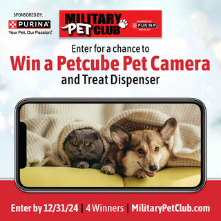 Enter for a Chance to Win a Petcube Pet Camera and Treat Dispenser