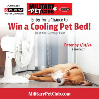 Enter for a Chance to Win a Cooling Pet Bed!