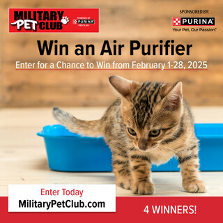 Enter for a Chance to Win an Air Purifier