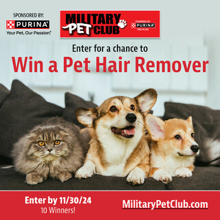 Enter for a Chance to Win a Pet Hair Remover