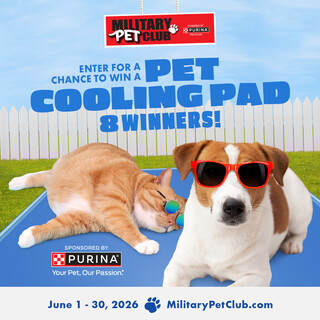 Enter for a Chance to Win a Pet Cooling Pad