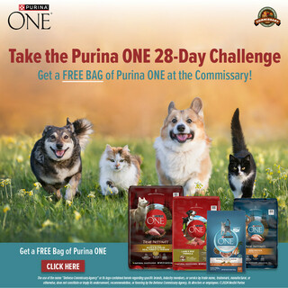 Get a FREE Bag of Purina ONE