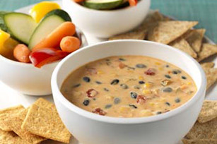 Spicy Mexican Cheese and Bean Dip