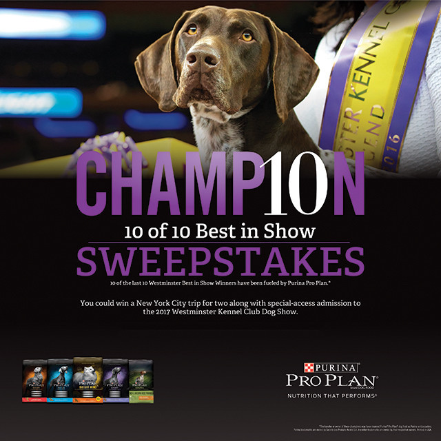 Purina 10 of 10 Best in Show Sweepstakes Nestlé Purina Featured